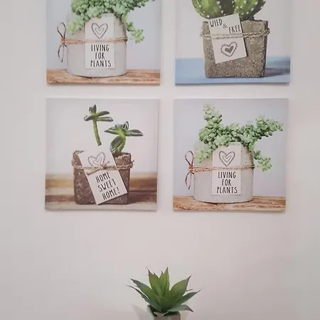 Il Centro Storico Apartman *